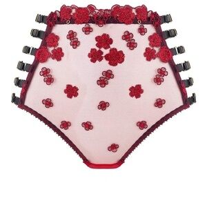 NWT Edge O’ Beyond Sheree High Waist Brief